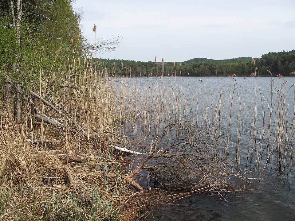 Blick vom Westufer des Godnasees nach Nordosten zu den 110 Meter hohen Blocksbergen auf der Beeskower Platte